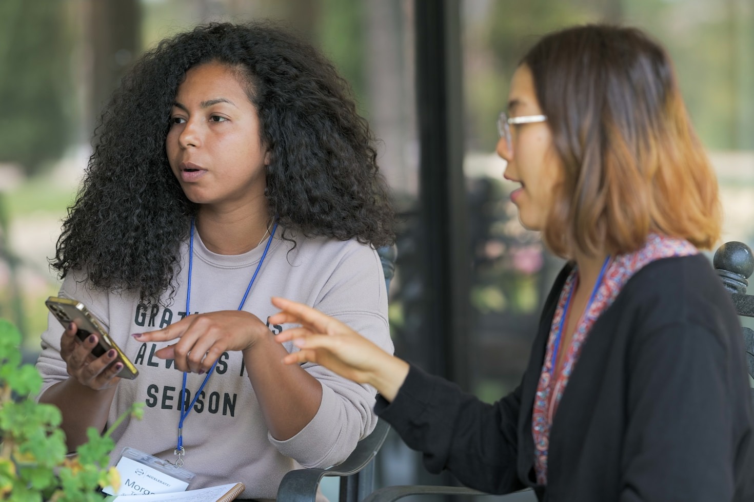 O que é a Doutrina Batista Reformada?